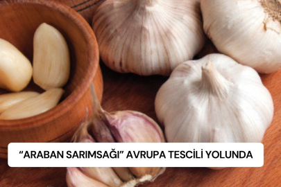 “ARABAN SARIMSAĞI” AVRUPA TESCİLİ YOLUNDA