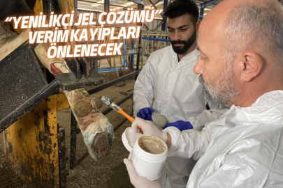 "YENİLİKÇİ JEL ÇÖZÜMÜ" VERİM KAYIPLARI ÖNLENECEK