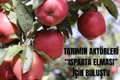 Tarımın Aktörleri "Isparta Elması" İçin Buluştu