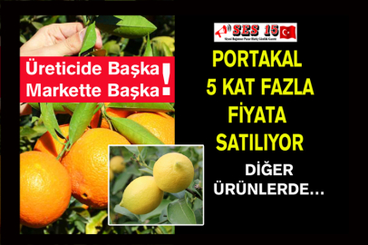 Üreticide Başka Markette Başka !!! Rekor Portakalda…