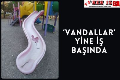 ‘Vandallar’ yine iş başında