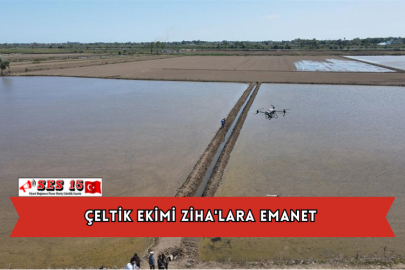 Çeltik Ekimi Ziha'lara Emanet