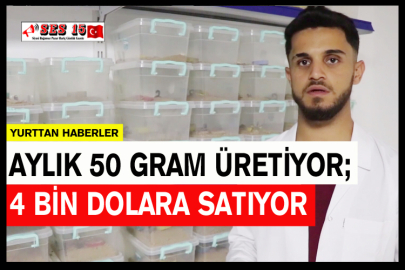 Aylık 50 Gram Üretiyor; 4 Bin Dolara Satıyor