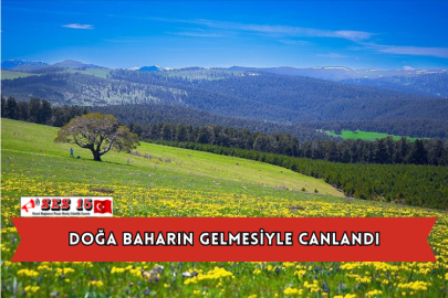 Doğa Baharın Gelmesiyle Canlandı