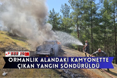 Ormanlık Alandaki Kamyonette Çıkan Yangın Söndürüldü