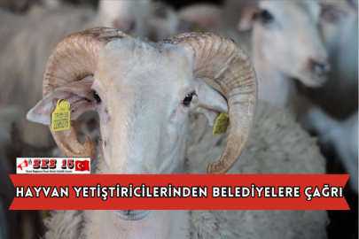 Hayvan Yetiştiricilerinden Belediyelere Çağrı