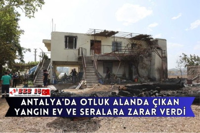 Antalya'da Otluk Alanda Çıkan Yangın Ev Ve Seralara Zarar Verdi