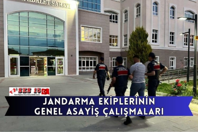 Jandarma Ekiplerinin Genel Asayiş Çalışmaları