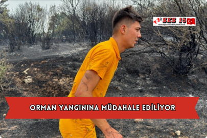 Orman Yangınına Müdahale Ediliyor