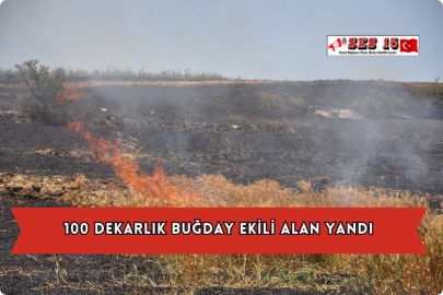 100 Dekarlık Buğday Ekili Alan Yandı