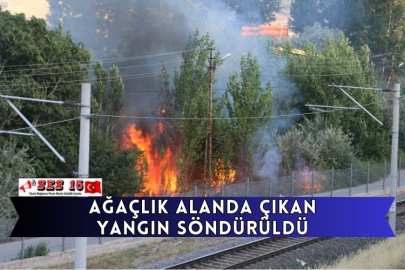 Ağaçlık Alanda Çıkan Yangın Söndürüldü