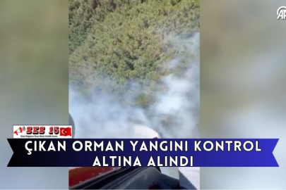 Çıkan Orman Yangını Kontrol Altına Alındı