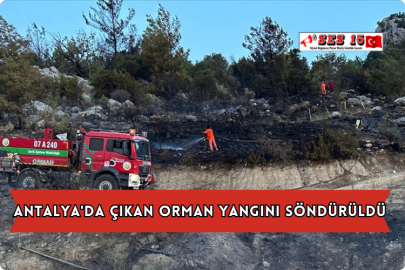 Antalya'da Çıkan Orman Yangını Söndürüldü