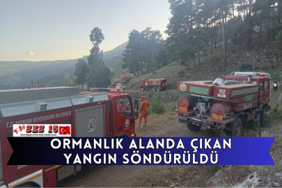 Ormanlık Alanda Çıkan Yangın Söndürüldü