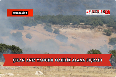 Çıkan Anız Yangını Makilik Alana Sıçradı