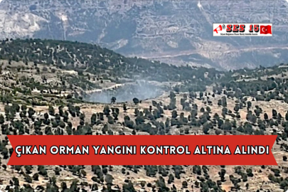 Çıkan Orman Yangını Kontrol Altına Alındı