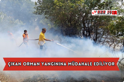 Çıkan Orman Yangınına Müdahale Ediliyor