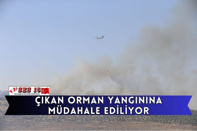 Çıkan Orman Yangınına Müdahale Ediliyor