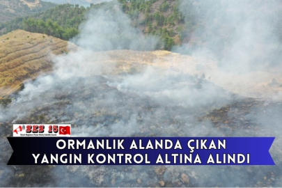 Ormanlık Alanda Çıkan Yangın Kontrol Altına Alındı