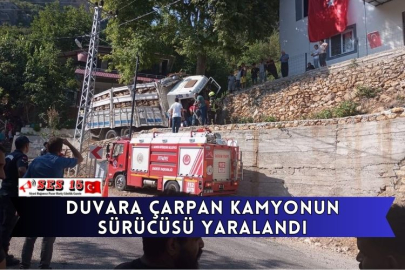 Duvara Çarpan Kamyonun Sürücüsü Yaralandı