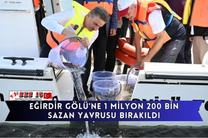 Eğirdir Gölü'ne 1 Milyon 200 Bin Sazan Yavrusu Bırakıldı