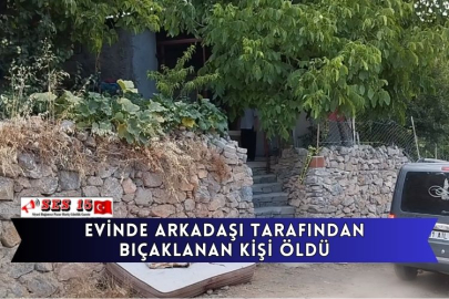 Evinde Arkadaşı Tarafından Bıçaklanan Kişi Öldü