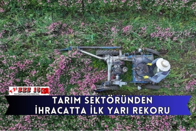 Tarım Sektöründen İhracatta İlk Yarı Rekoru