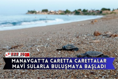 Manavgat'ta Caretta Carettalar Mavi Sularla Buluşmaya Başladı