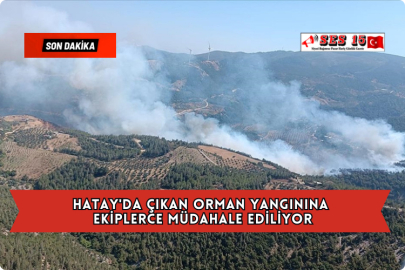 Hatay'da Çıkan Orman Yangınına Ekiplerce Müdahale Ediliyor