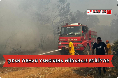 Çıkan Orman Yangınına Müdahale Ediliyor