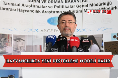 Hayvancılıkta Yeni Destekleme Modeli Hazır