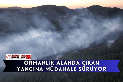 Ormanlık Alanda Çıkan Yangına Müdahale Sürüyor