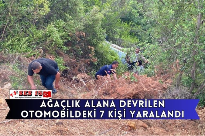 Ağaçlık Alana Devrilen Otomobildeki 7 Kişi Yaralandı