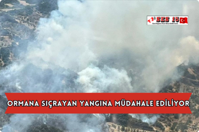 Ormana Sıçrayan Yangına Müdahale Ediliyor