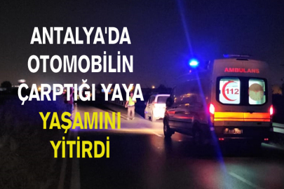 Antalya'da Otomobilin Çarptığı Yaya Yaşamını Yitirdi