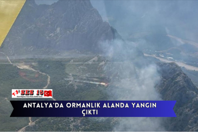 Antalya'da Ormanlık Alanda Yangın Çıktı