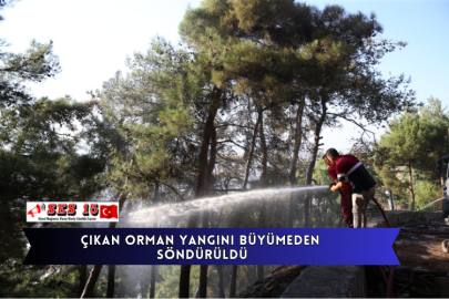 Çıkan Orman Yangını Büyümeden Söndürüldü