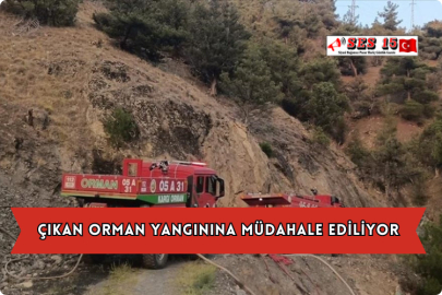 Çıkan Orman Yangınına Müdahale Ediliyor