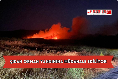 Çıkan Orman Yangınına Müdahale Ediliyor