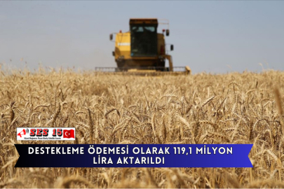 Destekleme Ödemesi Olarak 119,1 Milyon Lira Aktarıldı