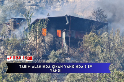 Tarım Alanında Çıkan Yangında 3 Ev Yandı