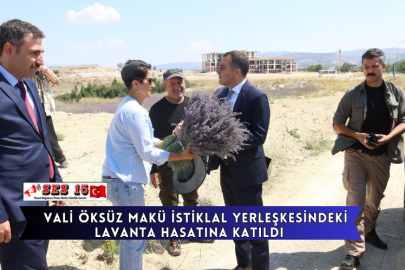 Vali Öksüz Makü İstiklal Yerleşkesindeki Lavanta Hasatına Katıldı