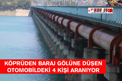 Köprüden Baraj Gölüne Düşen Otomobildeki 4 Kişi Aranıyor