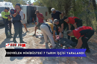 Devrilen Minibüsteki 7 Tarım İşçisi Yaralandı