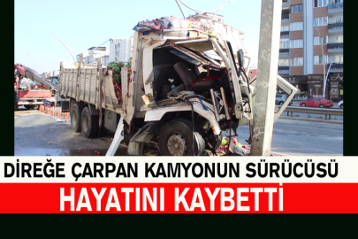 Direğe Çarpan Kamyonun Sürücüsü Hayatını Kaybetti