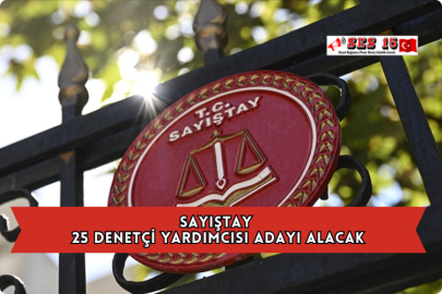 Sayıştay 25 Denetçi Yardımcısı Adayı Alacak