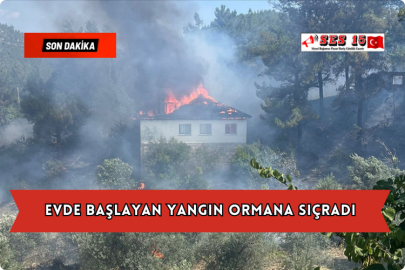 Evde Başlayan Yangın Ormana Sıçradı