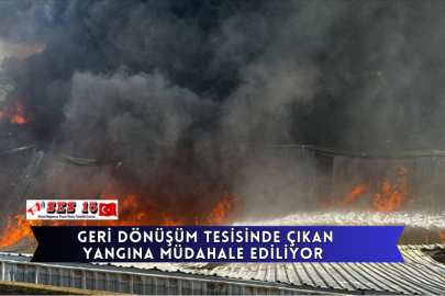 Geri Dönüşüm Tesisinde Çıkan Yangına Müdahale Ediliyor