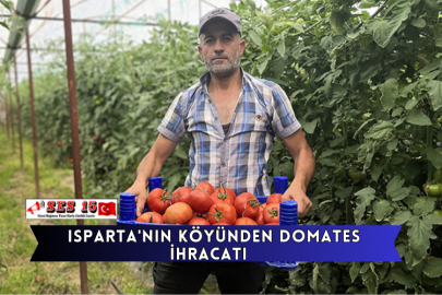 Isparta'nın Köyünden Domates İhracatı