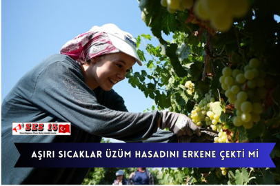 Aşırı Sıcaklar Üzüm Hasadını Erkene Çekti Mi